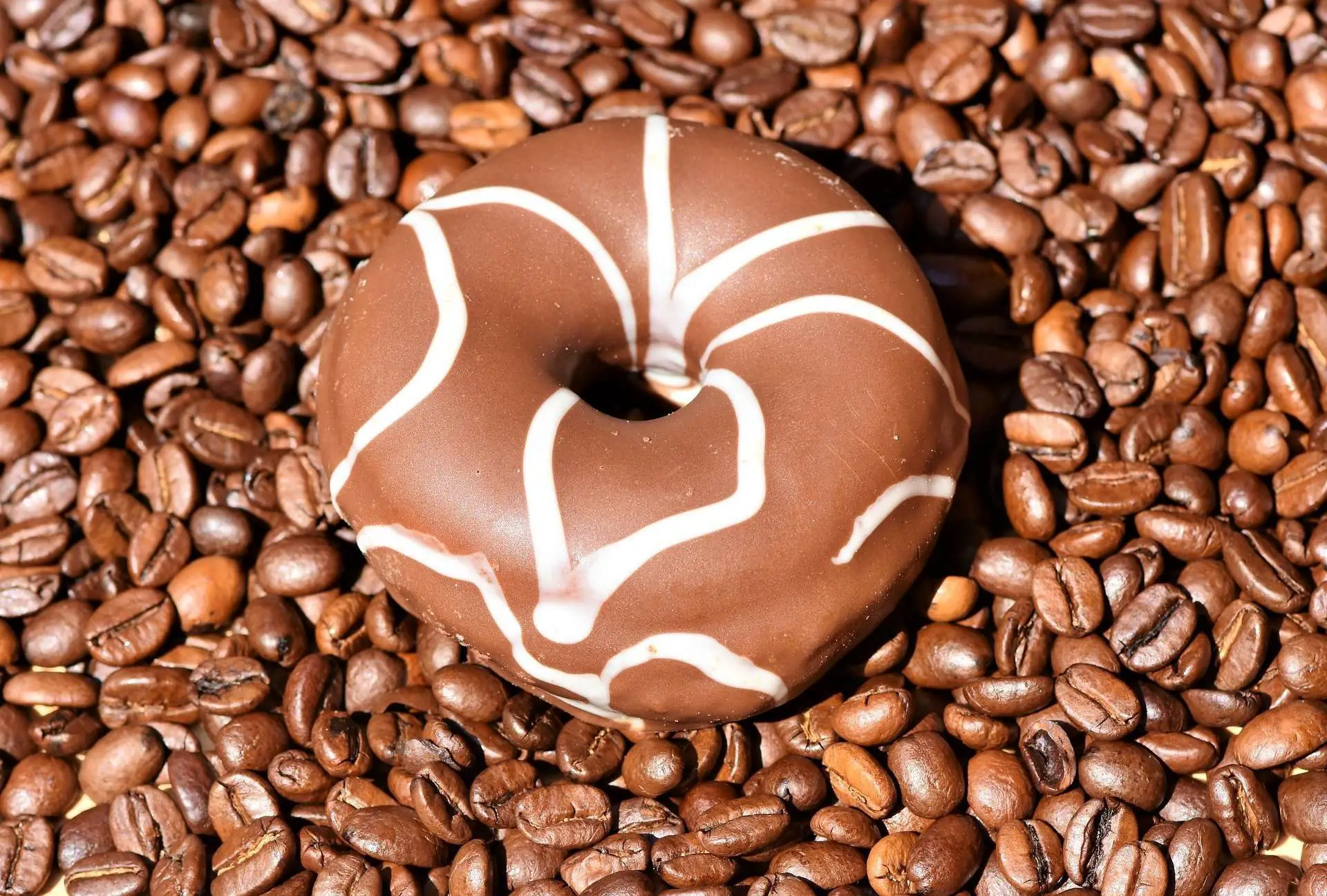 Picture of a chocolate donut
