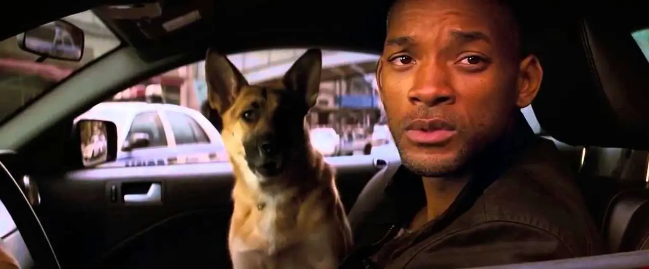 Will smith and German Shepard in I am Legend