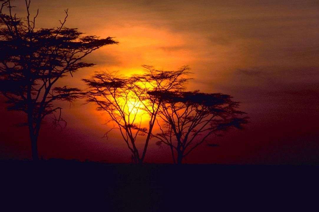 Beautiful Africa sunset
