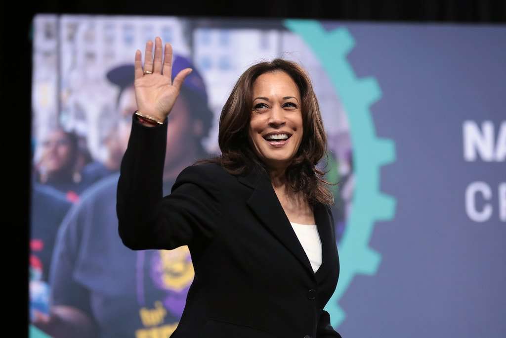 kamala harris, kamala harris vp pick