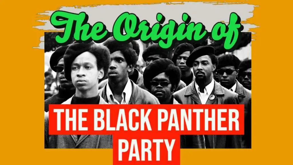 black panthers, black panther party, black panthers history