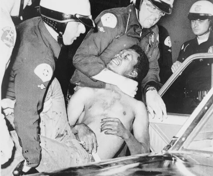 police brutality, civil rights movement, police attacking protestor during civil rights movement